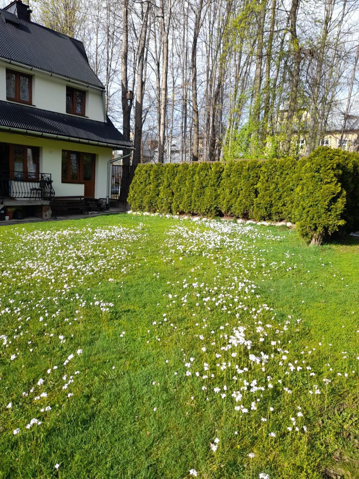 Pokoje Goscinne Kozica Zakopane Buitenkant foto